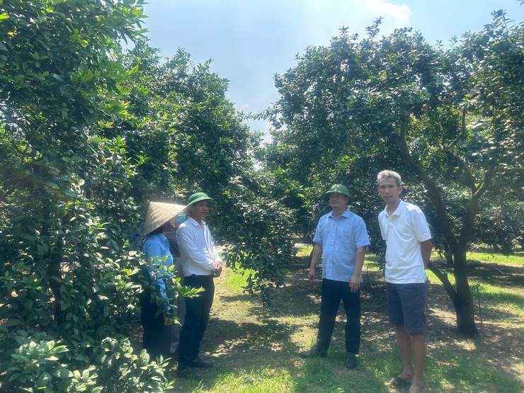 Đồng chí Chủ tịch UBND xã Lê Văn Thu thăm, rà soát các mô hình sản xuất nông nghiệp tiêu biểu trên địa bàn- Ảnh 6.
