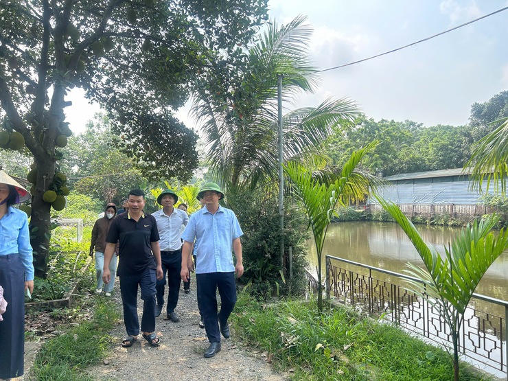 Đồng chí Chủ tịch UBND xã Lê Văn Thu thăm, rà soát các mô hình sản xuất nông nghiệp tiêu biểu trên địa bàn- Ảnh 5.