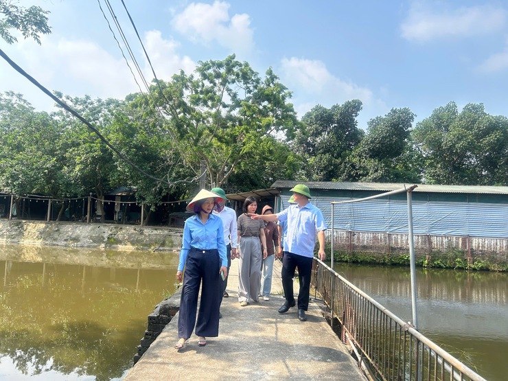 Đồng chí Chủ tịch UBND xã Lê Văn Thu thăm, rà soát các mô hình sản xuất nông nghiệp tiêu biểu trên địa bàn- Ảnh 7.