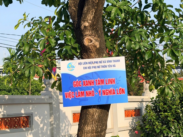 HỘI LHPN XÃ VĨNH THANH PHÁT ĐỘNG PHONG TRÀO “CUỐI TUẦN XANH” NĂM 2026- Ảnh 4.