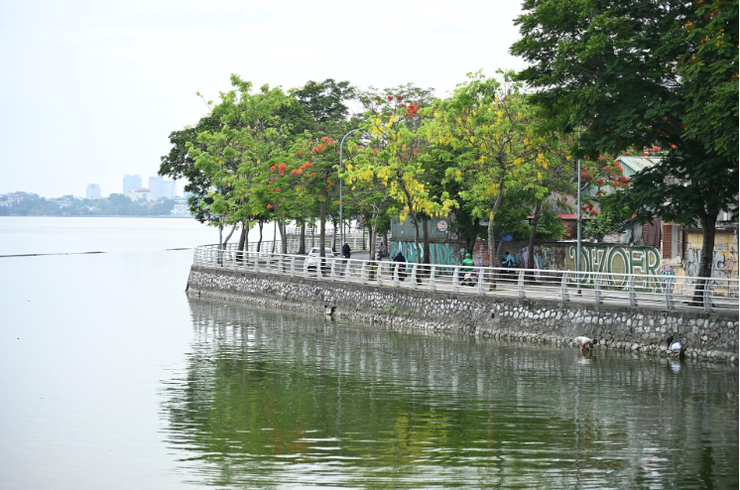 Phường Tây Hồ khắc phục “điểm đen” về vệ sinh môi trường kéo dài- Ảnh 2.