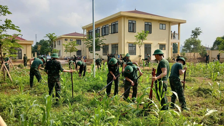 Hòa Lạc: Ra quân tổng vệ sinh, sẵn sàng đưa vào sử dụng điểm trường  Mầm non, Tiểu học tại khu tái định cư Đại học Quốc gia- Ảnh 1.