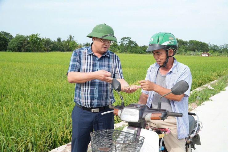 Lãnh đạo xã Chuyên Mỹ kiểm tra thực tế sản xuất lúa vụ xuân năm 2026 - Ảnh 2.