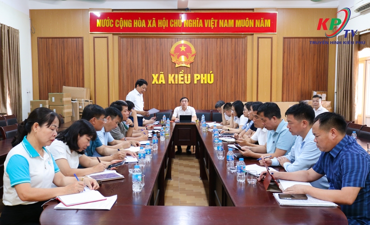 Ban Chấp hành Đảng bộ xã Kiều Phú tổ chức Hội nghị lấy ý kiến biểu quyết kiện toàn, bổ sung chức danh Phó Chủ nhiệm Ủy ban Kiểm tra Đảng ủy xã- Ảnh 1.