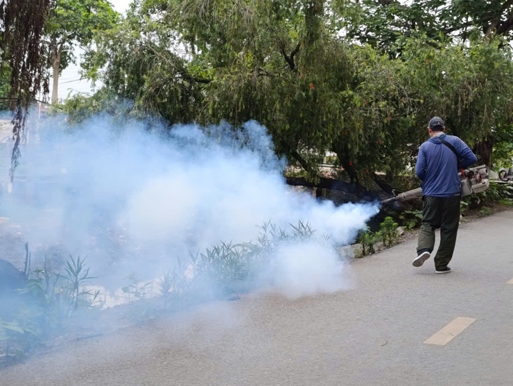 Trường Tiểu học Thúy Lĩnh phối hợp với Trạm y tế phường Lĩnh Nam tổ chức phun thuốc diệt muỗi trong và ngoài khuôn viên trường học- Ảnh 3.