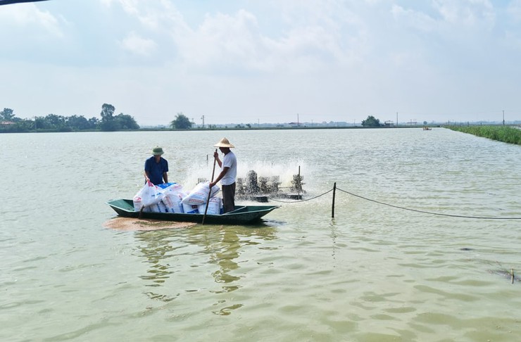 Hà Nội phê duyệt 58 quy trình nội bộ, quy trình điện tử lĩnh vực Chăn nuôi, Thú y và Thủy sản- Ảnh 1.
