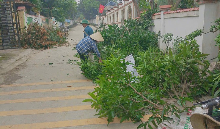 xã Bất Bạt: Đoàn kết chung tay duy trì hiệu quả công tác vệ sinh môi trường, xây dựng quê hương Sáng – Xanh – Sạch – Đẹp- Ảnh 3.