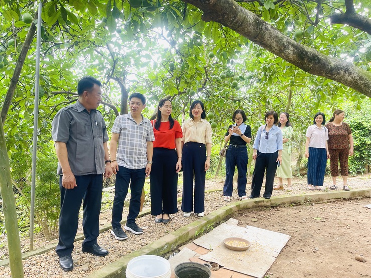 Đoàn công tác Sở Du lịch Hà Nội khảo sát phát triển sản phẩm du lịch nông nghiệp, nông thôn tại xã Phúc Lộc- Ảnh 7.
