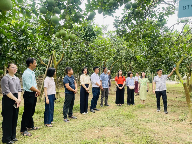 Đoàn công tác Sở Du lịch Hà Nội khảo sát phát triển sản phẩm du lịch nông nghiệp, nông thôn tại xã Phúc Lộc- Ảnh 6.