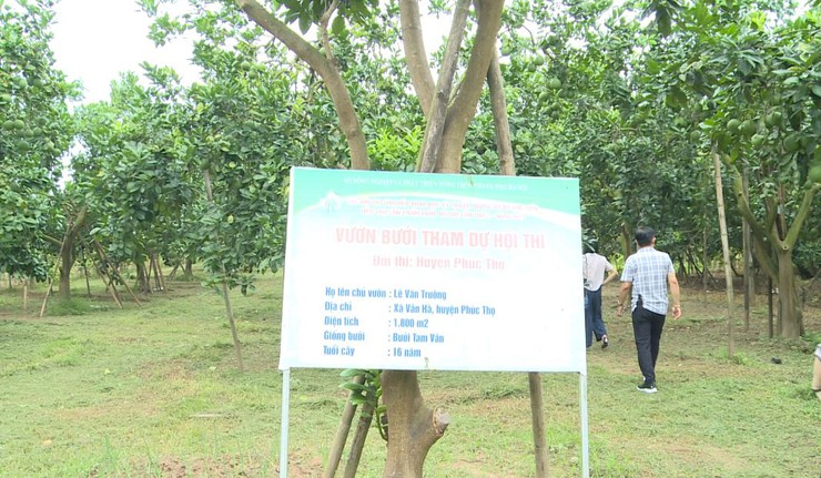 Đoàn công tác Sở Du lịch Hà Nội khảo sát phát triển sản phẩm du lịch nông nghiệp, nông thôn tại xã Phúc Lộc- Ảnh 5.