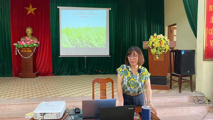 TẬP HUẤN KỸ THUẬT SẢN XUẤT GIỐNG LÚA MỚI KOJI VỤ MÙA 2026- Ảnh 1.