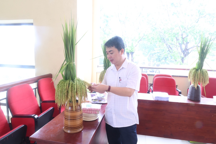 Trung tâm Khuyến nông Hà Nội tổ chức kiểm tra, đánh giá mô hình sản xuất lúa vụ xuân năm 2026- Ảnh 2.