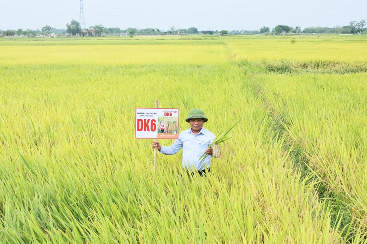 Quảng Bị thăm đồng, đánh giá năng suất vụ xuân 2026, triển khai kế hoạch sản xuất vụ mùa và vụ đông- Ảnh 2.