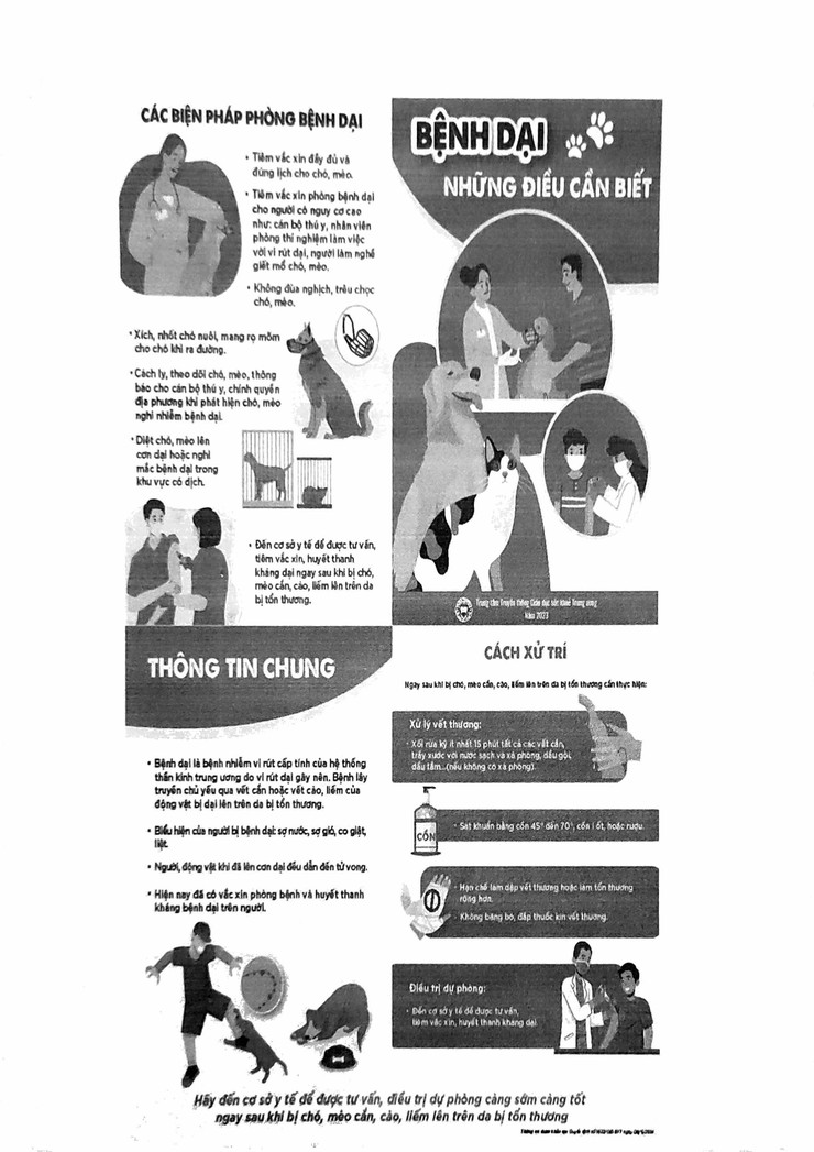 Tăng cường tuyên truyền phòng, chống bệnh dại – Chủ động bảo vệ sức khỏe cộng đồng- Ảnh 5.