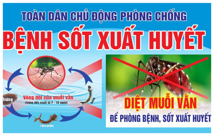 TUYÊN TRUYỀN PHÒNG CHỐNG BỆNH SỐT XUẤT HUYẾT- Ảnh 1.