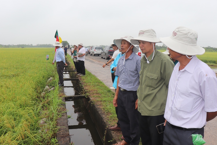 Hội nghị đánh giá kết quả thực hiện các mô hình sản xuất lúa vụ xuân năm 2026- Ảnh 4.
