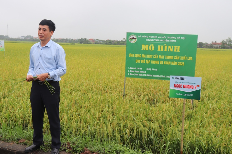 Hội nghị đánh giá kết quả thực hiện các mô hình sản xuất lúa vụ xuân năm 2026- Ảnh 5.