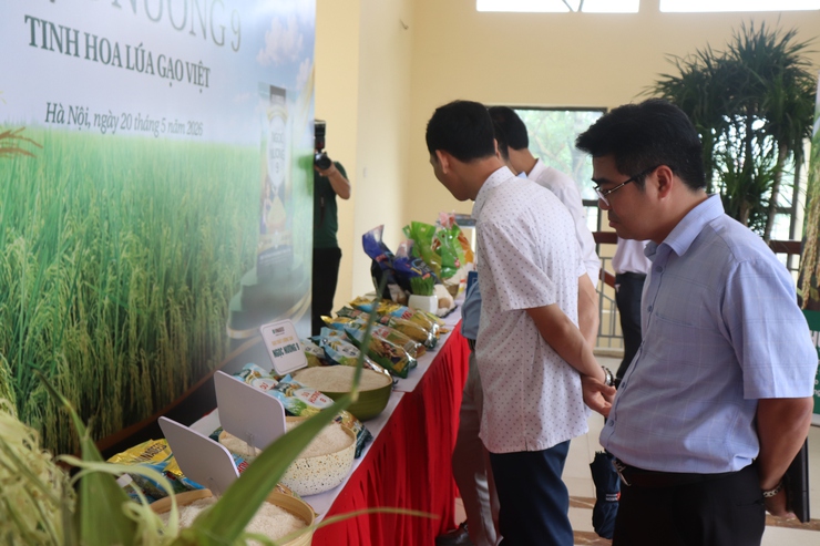 Hội nghị đánh giá kết quả thực hiện các mô hình sản xuất lúa vụ xuân năm 2026- Ảnh 8.