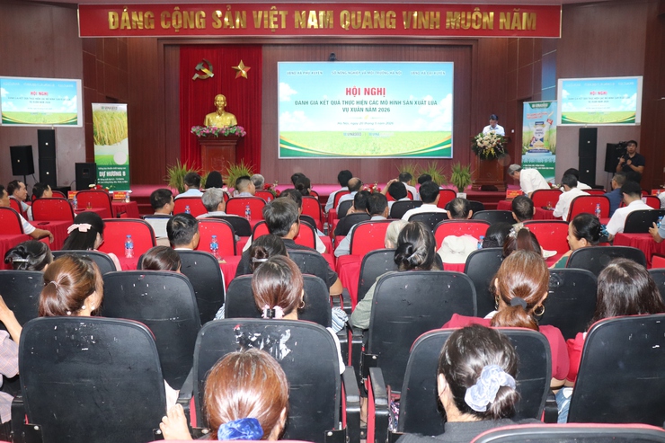 Hội nghị đánh giá kết quả thực hiện các mô hình sản xuất lúa vụ xuân năm 2026- Ảnh 1.