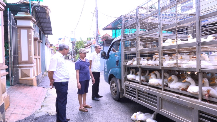Chi Cục chăn nuôi, thuỷ sản và thú y Hà Nội kiểm tra hoạt động giết mổ gia súc, gia cầm tập trung tại xã Vân Đình- Ảnh 2.