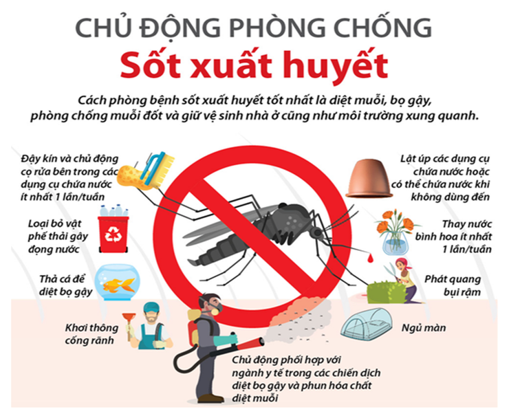 TUYÊN TRUYỀN PHÒNG CHỐNG BỆNH SỐT XUẤT HUYẾT- Ảnh 2.
