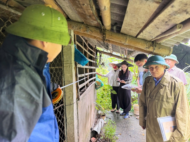 Tổ giúp việc của Hội đồng Bồi thường bám sát thực địa, đẩy nhanh tiến độ Dự án Khu đô thị Thể thao Quốc tế Hà Nội- Ảnh 1.