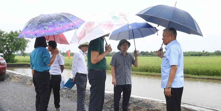 Hà Nội đánh giá hiệu quả các mô hình sản xuất lúa vụ xuân năm 2026 : Mở hướng phát triển nông nghiệp hiện đại,bền vững.- Ảnh 3.