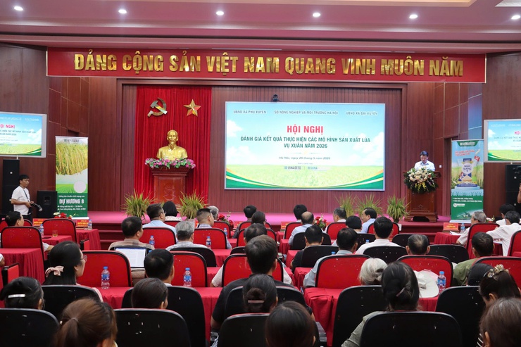 Hà Nội đánh giá hiệu quả các mô hình sản xuất lúa vụ xuân năm 2026 : Mở hướng phát triển nông nghiệp hiện đại,bền vững.- Ảnh 1.