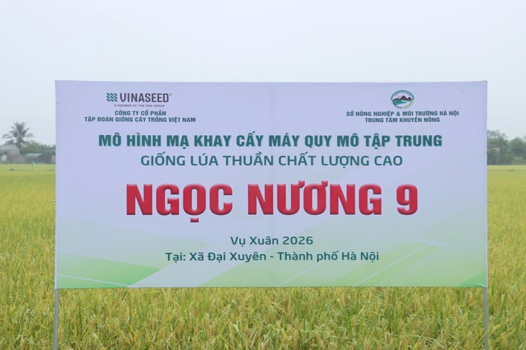 Hà Nội đánh giá hiệu quả các mô hình sản xuất lúa vụ xuân năm 2026 : Mở hướng phát triển nông nghiệp hiện đại,bền vững.- Ảnh 4.