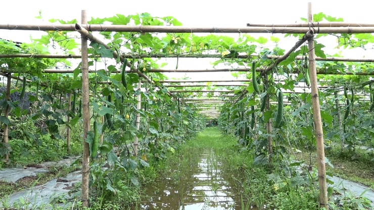 Xã Mỹ Đức tăng cường kiểm tra an toàn thực phẩm tại các bếp ăn tập thể trường học và các cơ sở cung cấp nguyên liệu thực phẩm, cơ sở chế biến suất ăn sẵn cho các trường&nbsp; học- Ảnh 24.