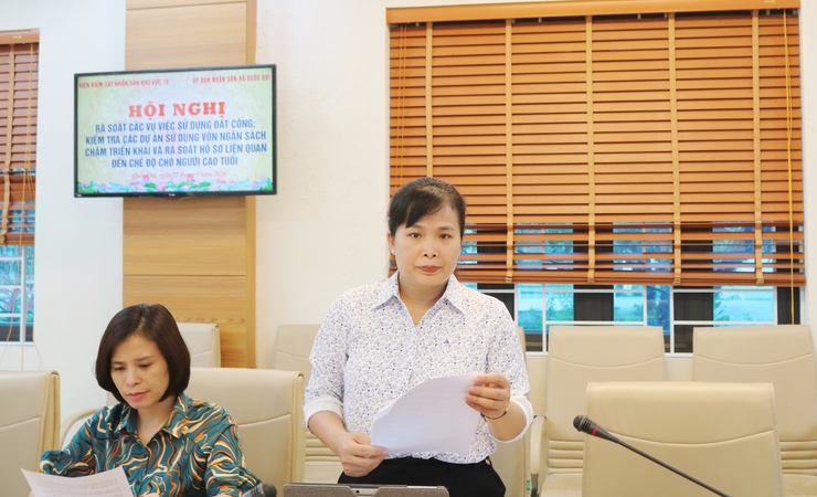 Quốc Oai phối hợp rà soát việc thực hiện chính sách đối với người cao tuổi và công tác quản lý đất công, dự án đầu tư công- Ảnh 4.