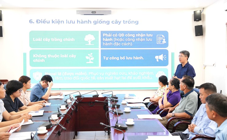 Bát Tràng triển khai mô hình quản lý an toàn thực phẩm tại vùng rau Văn Đức- Ảnh 1.