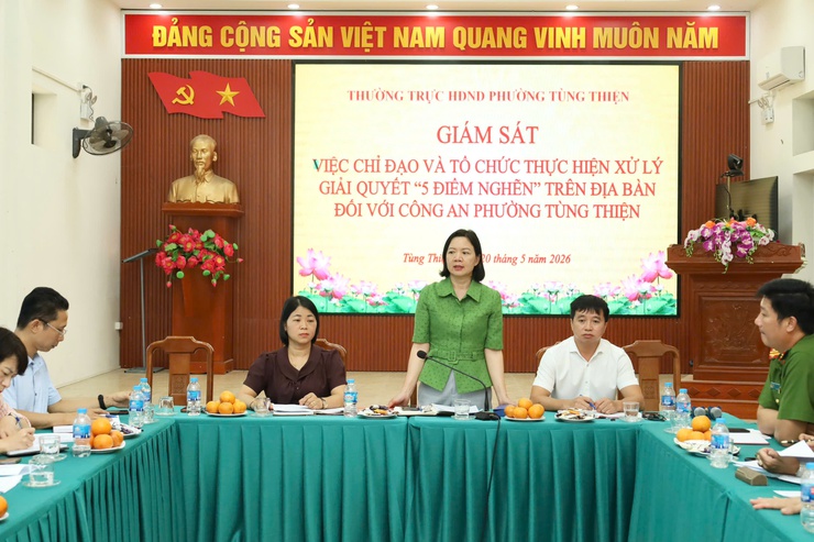 HĐND phường Tùng Thiện khảo sát, giám sát việc chỉ đạo và triển khai xử lý " 5 điểm nghẽn " trên địa bàn - Ảnh 8.