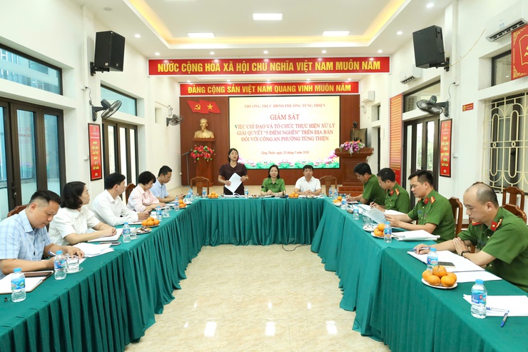 HĐND phường Tùng Thiện khảo sát, giám sát việc chỉ đạo và triển khai xử lý " 5 điểm nghẽn " trên địa bàn - Ảnh 5.