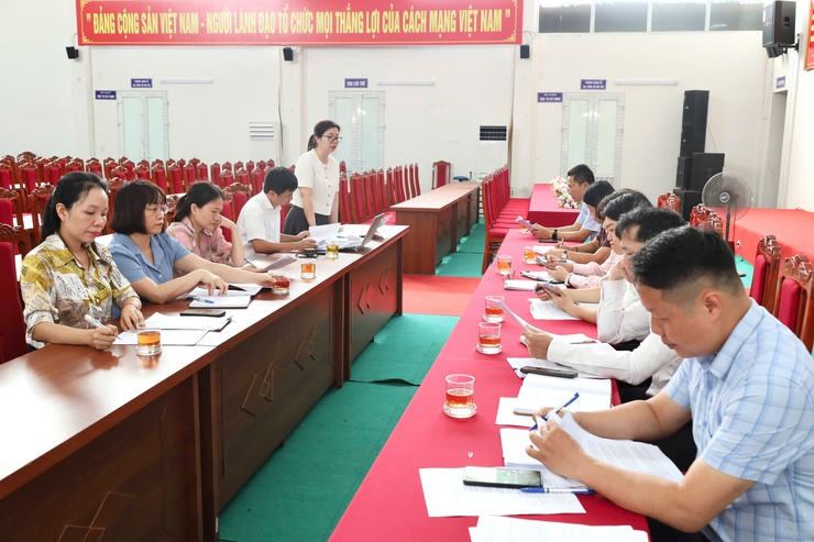 HĐND phường Tùng Thiện khảo sát, giám sát việc chỉ đạo và triển khai xử lý " 5 điểm nghẽn " trên địa bàn - Ảnh 7.