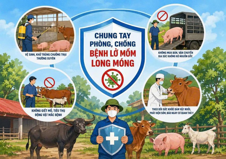 Khuyến cáo phòng chống bệnh lở mồm long móng Serotype SAT-1 trên gia súc- Ảnh 3.