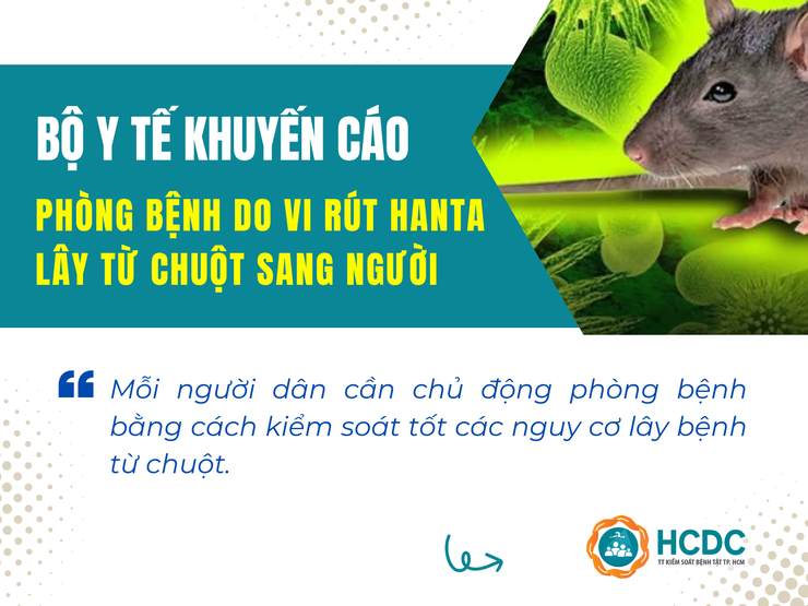 Bộ Y tế khuyến cáo phòng bệnh do vi rút Hanta lây từ chuột sang người- Ảnh 1.