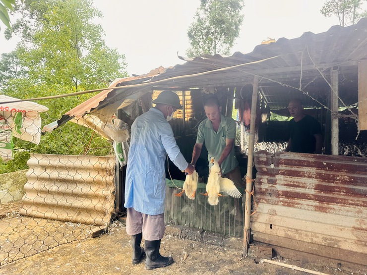 Xã Vân Đình tích cực triển khai tiêm phòng vắc xin cúm gia cầm H5N1 đợt 1 năm 2026- Ảnh 2.