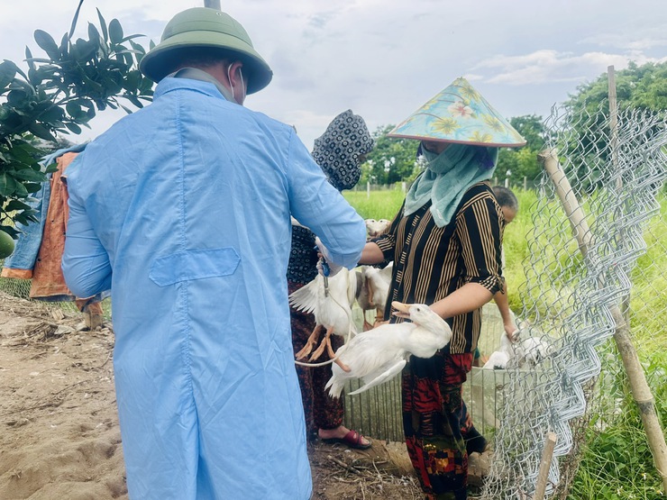 Xã Vân Đình tích cực triển khai tiêm phòng vắc xin cúm gia cầm H5N1 đợt 1 năm 2026- Ảnh 1.