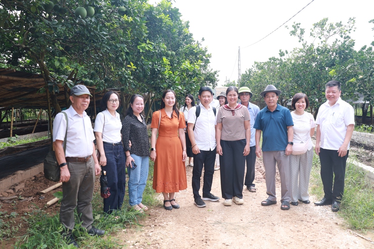 Đoàn Công tác của Sở Du lịch Hà Nội khảo sát, đánh giá tính khả thi và điều kiện đáp ứng để triển khai nhiệm vụ xây dựng sản phẩm du lịch nông nghiệp, nông thôn tại xã Minh Châu.- Ảnh 2.