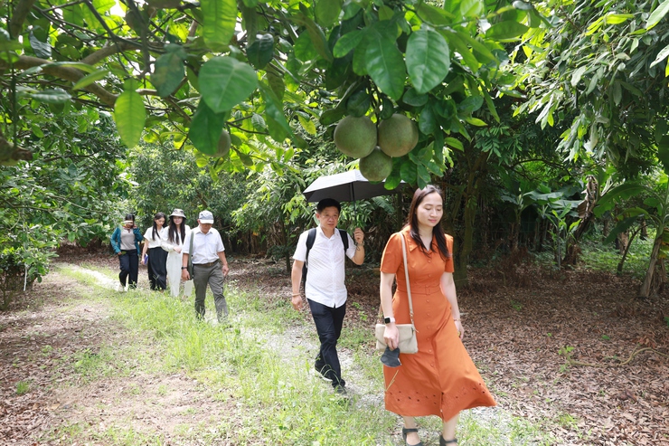 Đoàn Công tác của Sở Du lịch Hà Nội khảo sát, đánh giá tính khả thi và điều kiện đáp ứng để triển khai nhiệm vụ xây dựng sản phẩm du lịch nông nghiệp, nông thôn tại xã Minh Châu.- Ảnh 3.