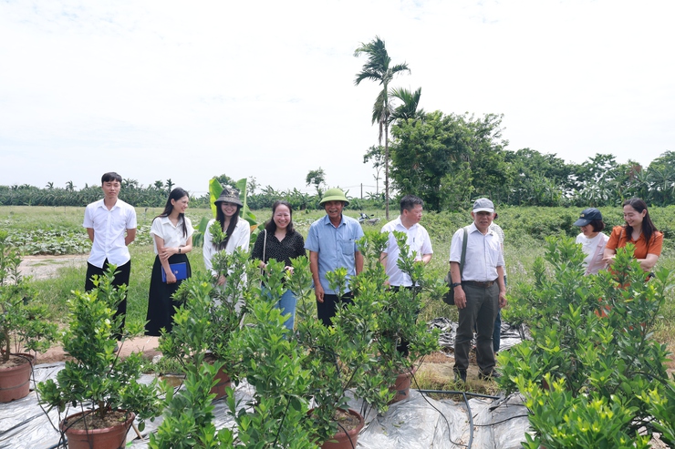Đoàn Công tác của Sở Du lịch Hà Nội khảo sát, đánh giá tính khả thi và điều kiện đáp ứng để triển khai nhiệm vụ xây dựng sản phẩm du lịch nông nghiệp, nông thôn tại xã Minh Châu.- Ảnh 4.