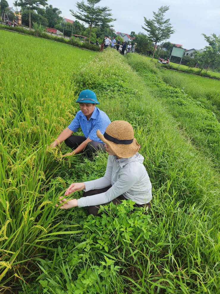 Trung tâm dịch vụ tổng hợp xã thăm đồng tại các xứ đồng HTXNN Thượng Vực, Đồng Phú- Ảnh 2.