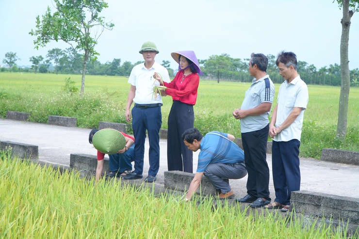 DÂN HOÀ ĐÁNH GIÁ NĂNG SUẤT, SẢN LƯỢNG CÂY TRỒNG VỤ XUÂN 2026 - Ảnh 2.