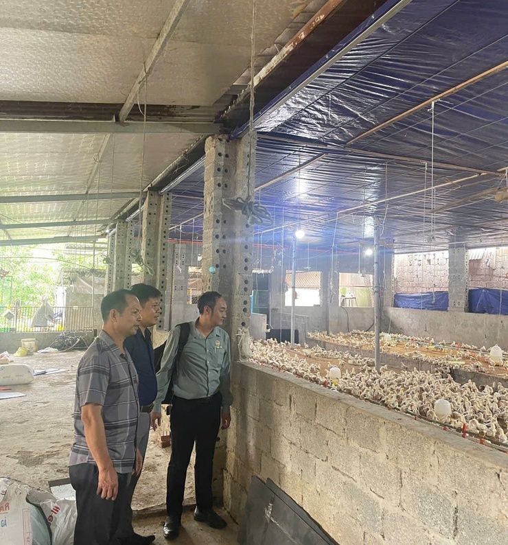 Hội Nông dân xã Phú Nghĩa tổ chức thẩm định phương án vay vốn Quỹ hỗ trợ nông dân- Ảnh 1.
