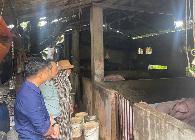 Hội Nông dân xã Phú Nghĩa tổ chức thẩm định phương án vay vốn Quỹ hỗ trợ nông dân- Ảnh 3.
