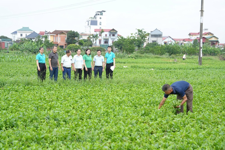 Thẩm định thực tế các phương án vay vốn quỹ hỗ trợ nông dân tại xã Thanh Oai- Ảnh 4.
