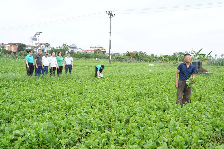 Thẩm định thực tế các phương án vay vốn quỹ hỗ trợ nông dân tại xã Thanh Oai- Ảnh 5.