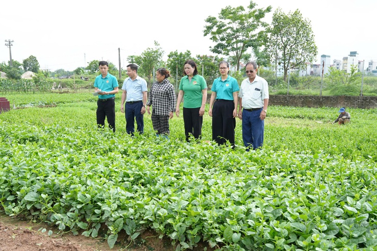 Thẩm định thực tế các phương án vay vốn quỹ hỗ trợ nông dân tại xã Thanh Oai- Ảnh 3.