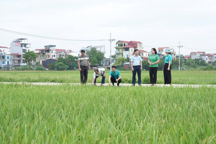 Thẩm định thực tế các phương án vay vốn quỹ hỗ trợ nông dân tại xã Thanh Oai- Ảnh 8.